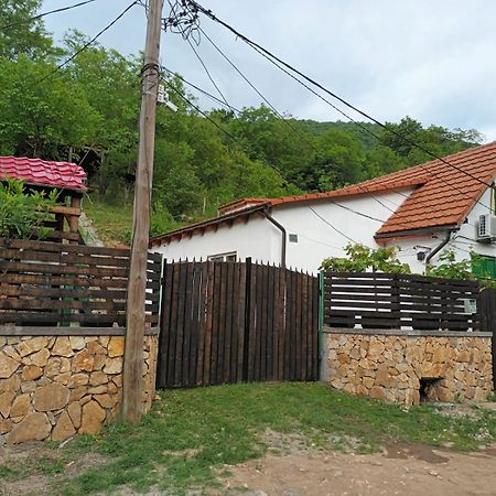 Andrei Βίλα Sasca Montană Εξωτερικό φωτογραφία