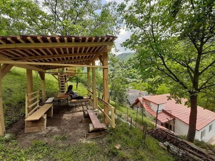 Andrei Βίλα Sasca Montană Εξωτερικό φωτογραφία